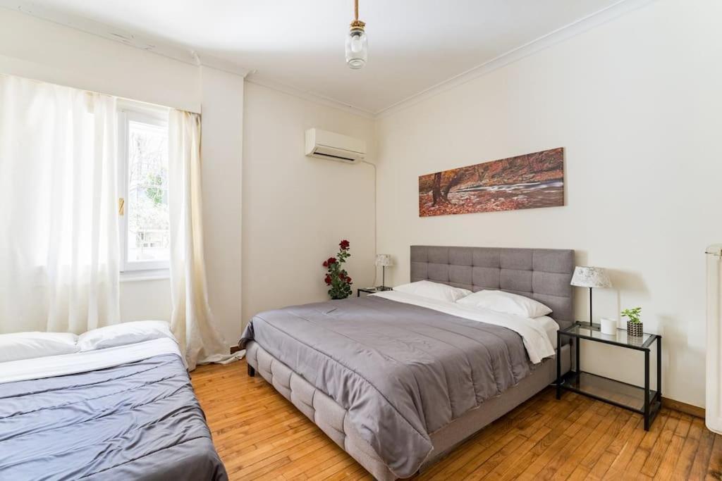 Amazing 3Bdr Apt With Unique Roof Garden In Plaka Athene Buitenkant foto