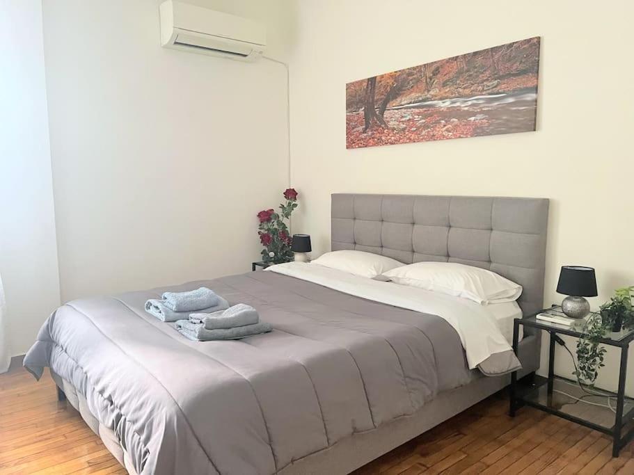 Amazing 3Bdr Apt With Unique Roof Garden In Plaka Athene Buitenkant foto