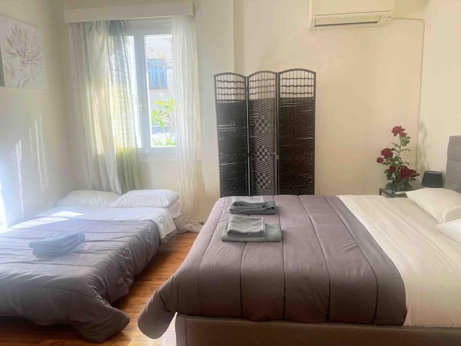 Amazing 3Bdr Apt With Unique Roof Garden In Plaka Athene Buitenkant foto